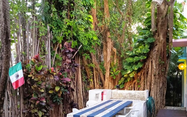 Room With Private Bathroom, Air Conditioning, Wi-fi Downtown Cancun