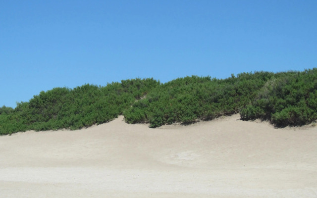 Mareazzurro