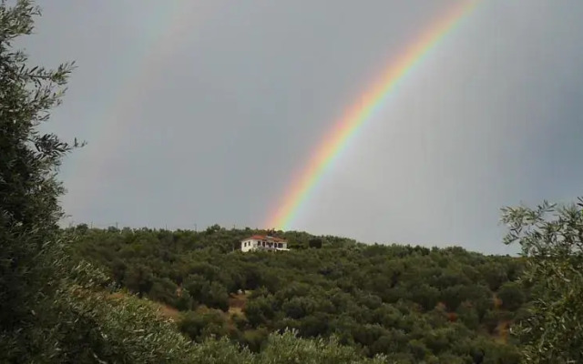 Studios Madalena