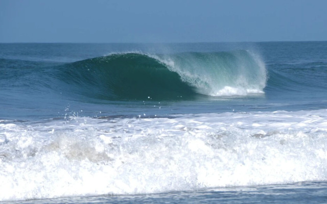 Las Palmeras Beach Hotel