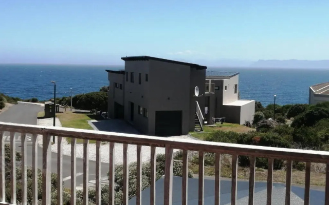 Whale of a time