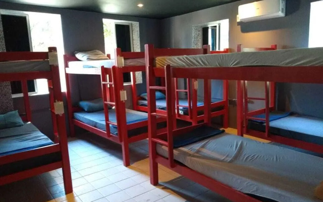Reef Hostel & Pousada