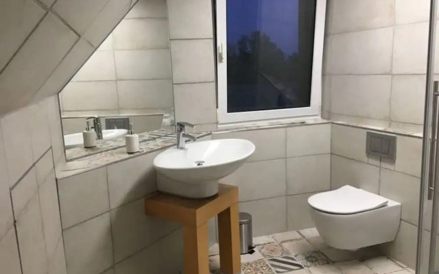 Black-headed Gull Comfortable Holiday Residence