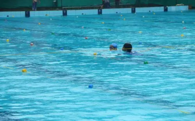 YMCA Greens