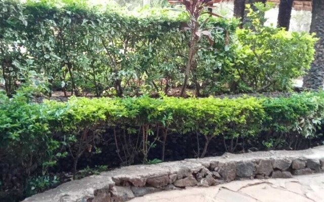 Kibwezi greenpark