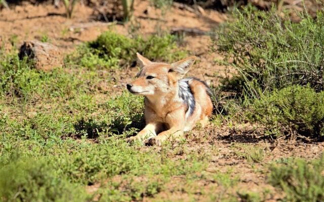 Hitgeheim Country Lodge & Eco Reserve