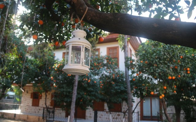 Citrus Garden Hotel