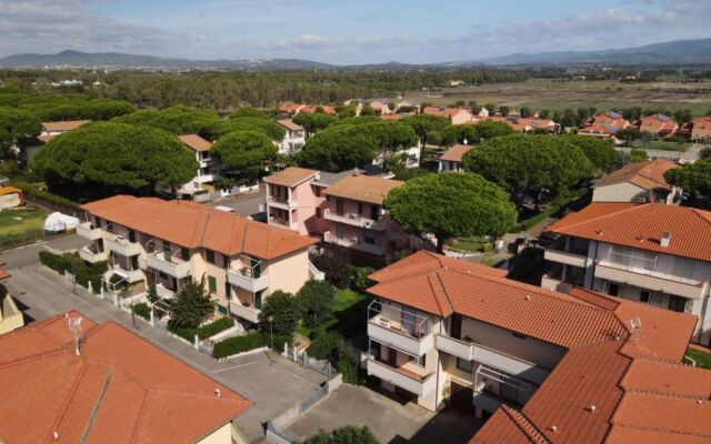 Palazzeta III (VAD150)