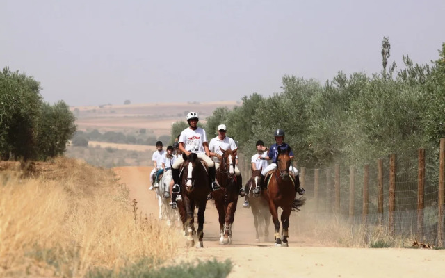 Hostel Layos, Toledo