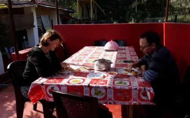 Wild Valley Nature Club