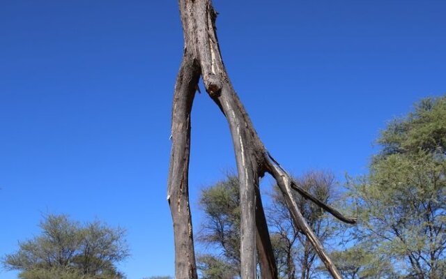 Tree House Namibia