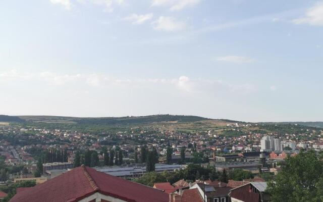 Charming Modern Apartment, Minutes from Downtown