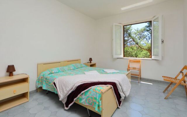 Apartment Ananas Valledoria 30840