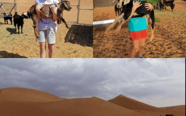 Alsarmadi Desert Camp