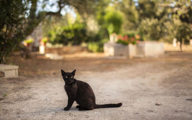 Masseria Fracchicchi