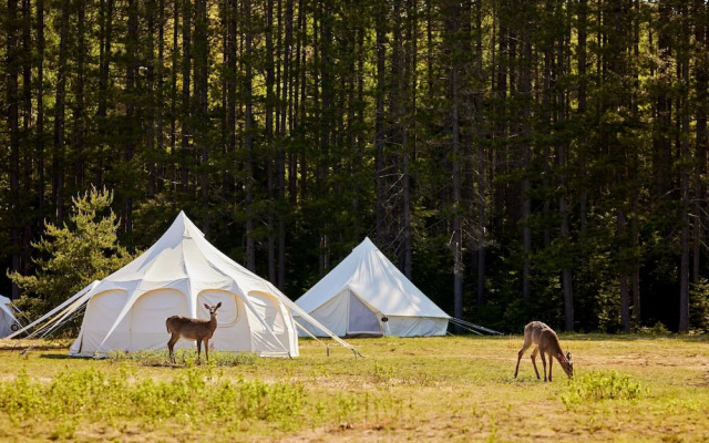 Hôtel UNIQ - Domaine Saint-Bernard