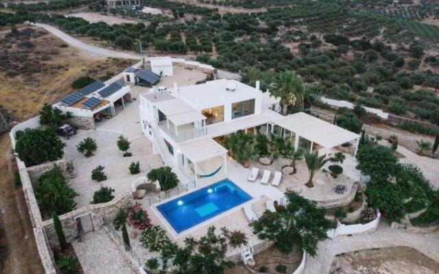 Villa Olympia in the Palm Trees