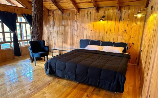 PINE TREE Hotel Boutique & Cabañas