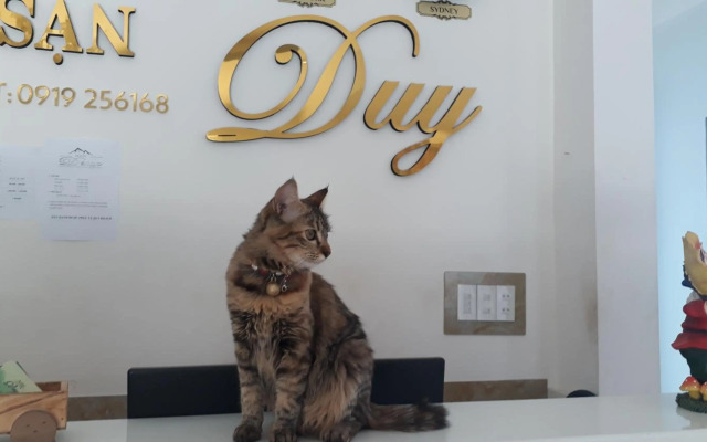 Duy Hotel