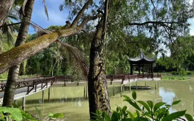 Tree House Nanshan Sanya