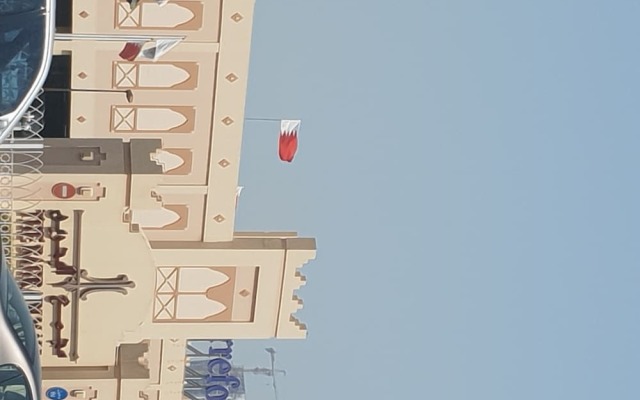 Palmera604