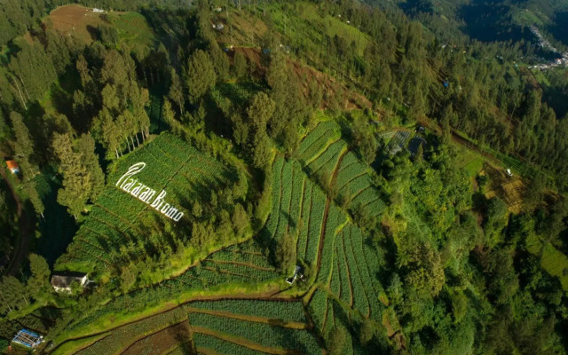 Plataran Bromo