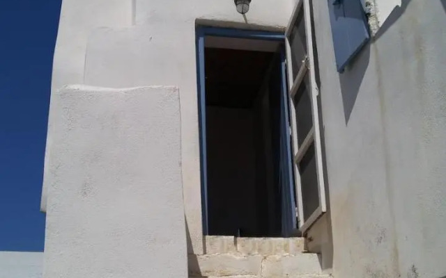 The large bougainvillea house