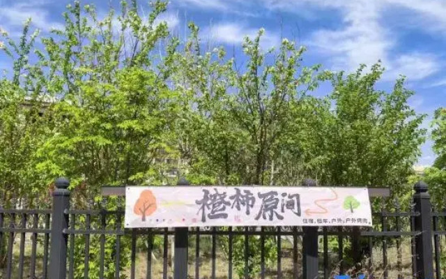 Orange Persimmon Plain Homestay