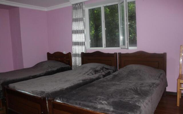 Borjomi Makvala's Guest House