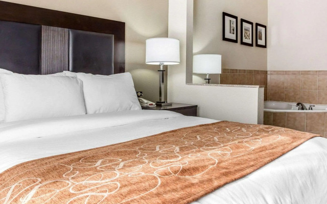 Comfort Suites Morrow - Atlanta South