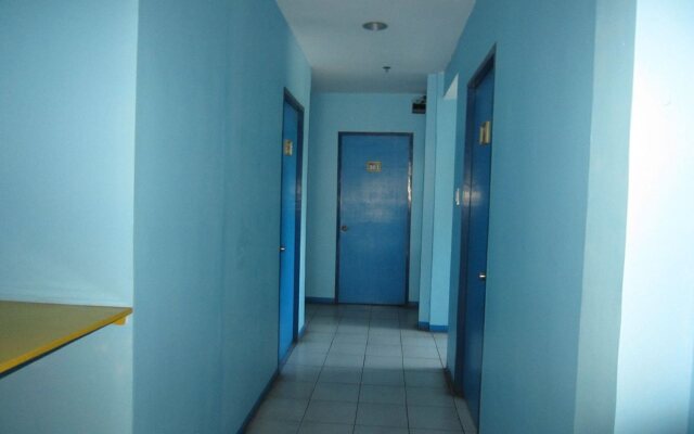 The Blue House