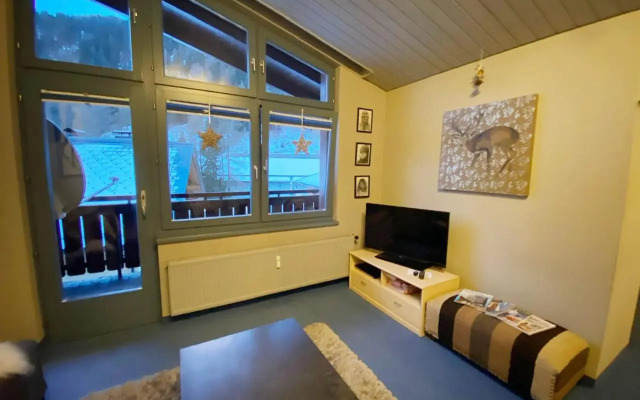 St Anton ski apartments