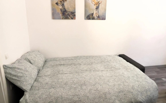 Renovated Cosy Studio near Central Station