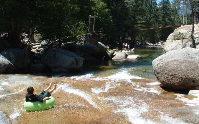 Yosemite Scenic Wonders - Wawona Area