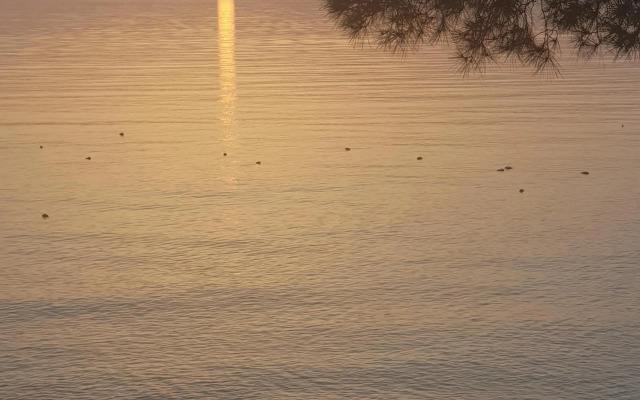 Lorena Luxury Apartment