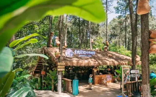 Changzhou Maoshan Forest World Camping Base