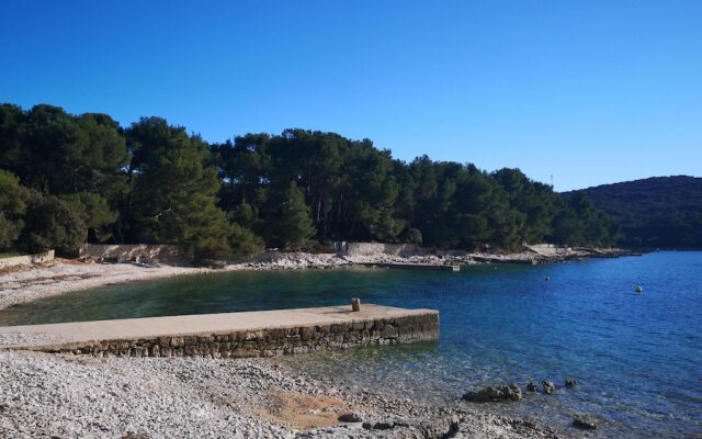 Apartment Babi Artatore