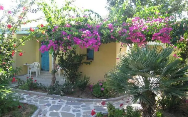 Surfing Beach Village