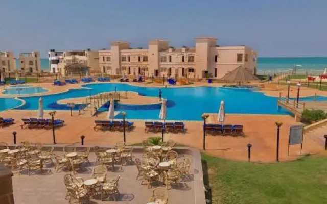 Palm Beach Safari Egypt