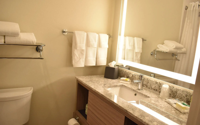 Holiday Inn Kansas City - Northeast by IHG