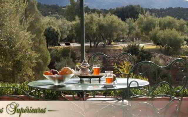 L'Oliveraie de Marigha