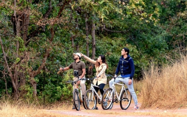 Banjaar Tola Kanha National Park - A Taj Safari Lodge