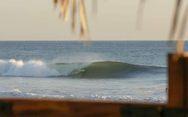 Pelicano Surf Camp