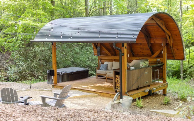 Creekside Fern in Pisgah Forest