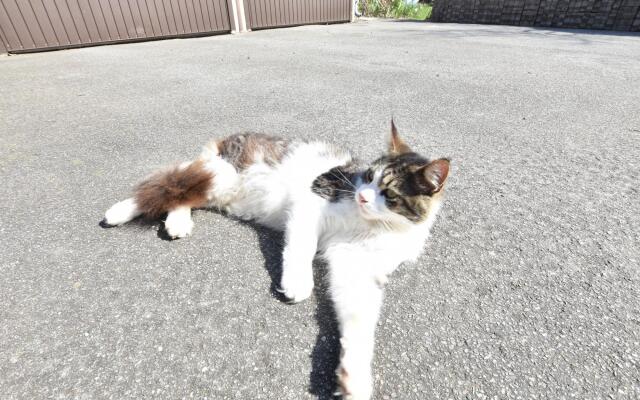 Ferienwohnung am Meer in Rerik