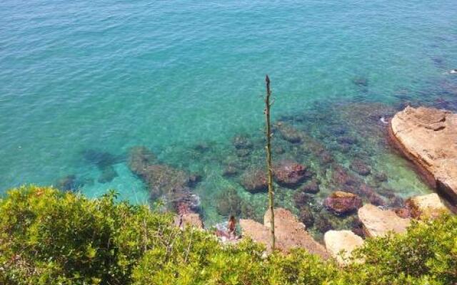 Gaviota Y Vora Mar