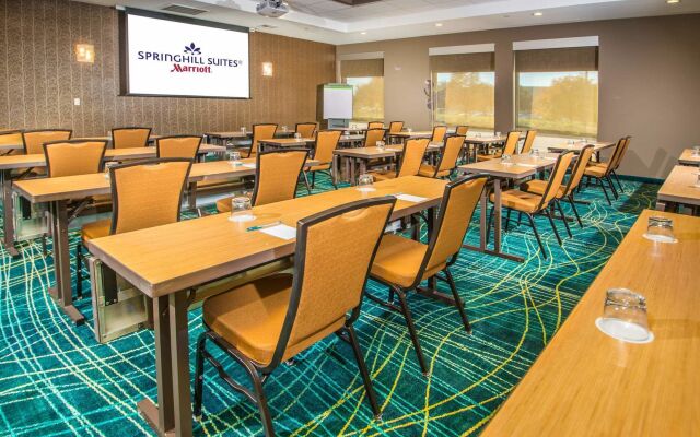 Springhill Suites Houston Westchase