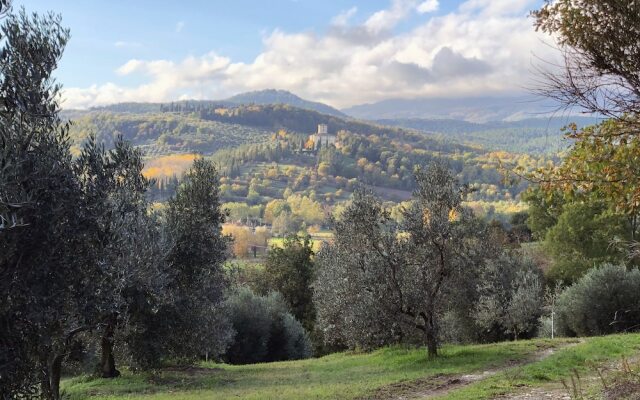 Palazzolo Resort - Anghiari