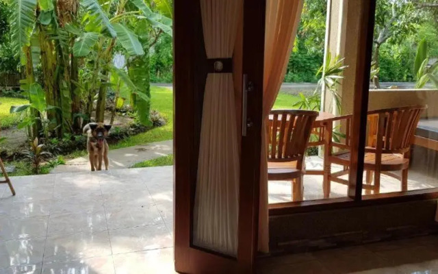 Mango Tree Inn
