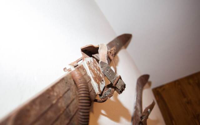 Chalet Appartement Alpenherz
